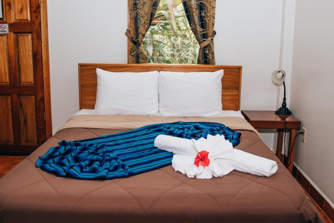 Mariposa Jungle Lodge 산 이그나시오 외부 사진