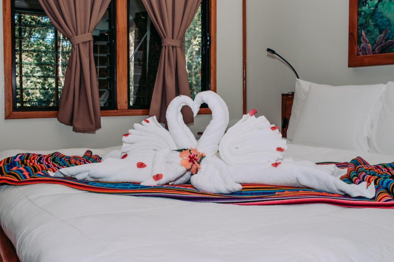 Mariposa Jungle Lodge 산 이그나시오 외부 사진
