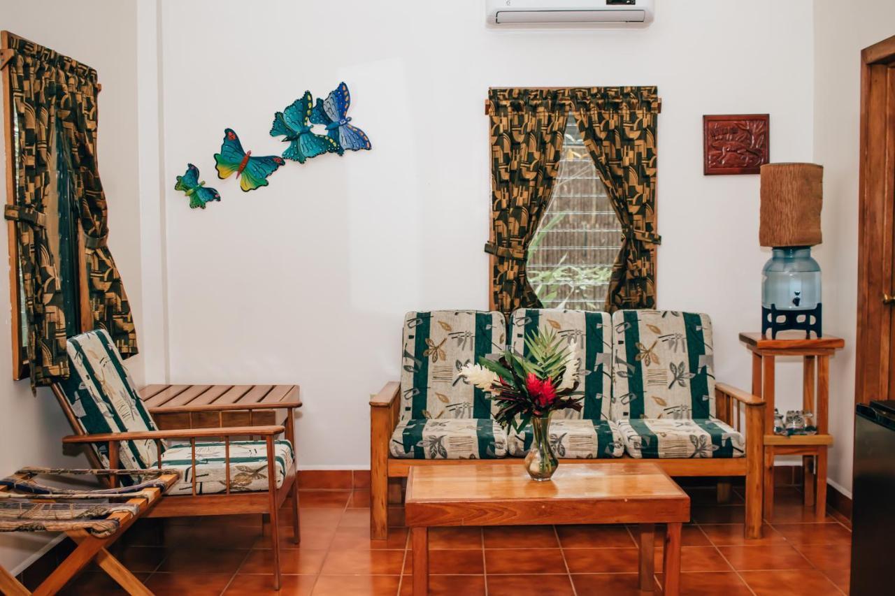 Mariposa Jungle Lodge 산 이그나시오 외부 사진