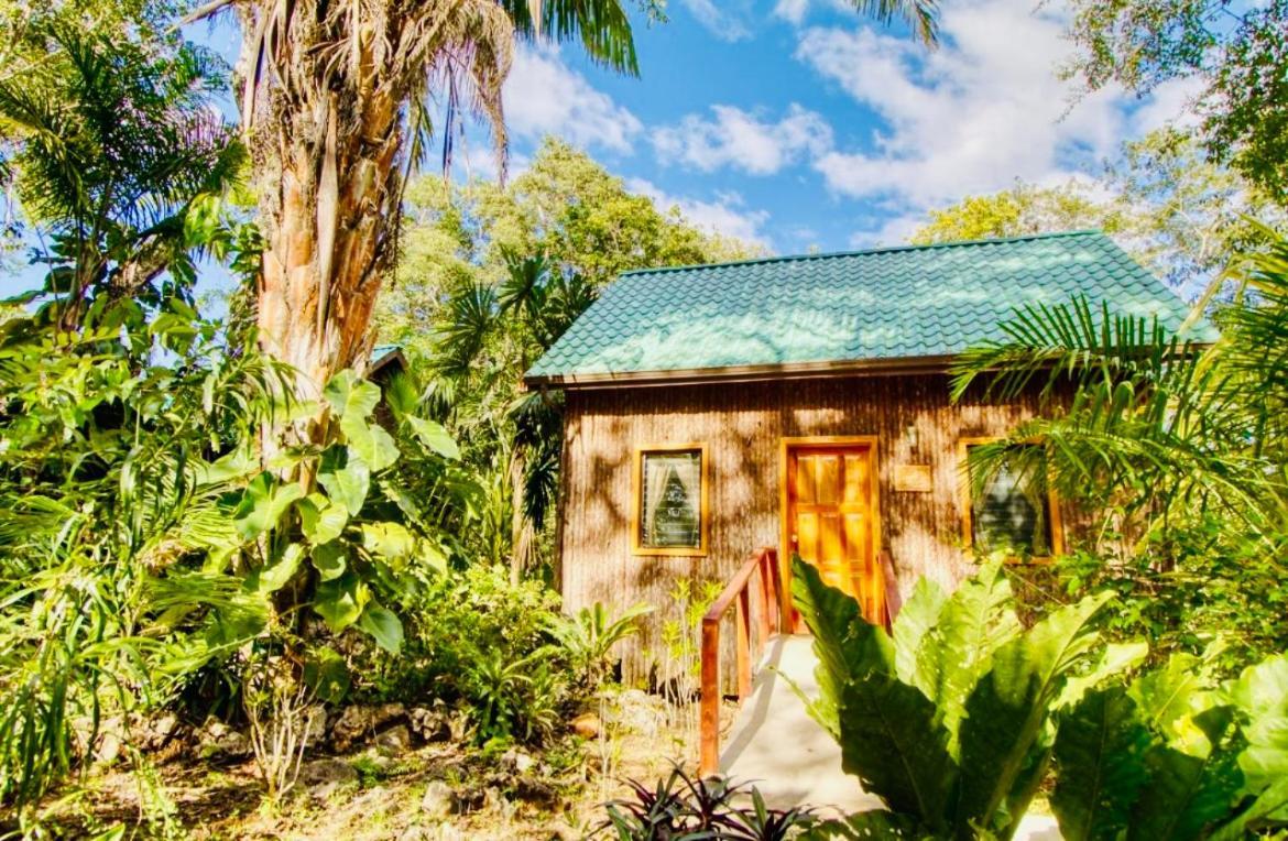Mariposa Jungle Lodge 산 이그나시오 외부 사진