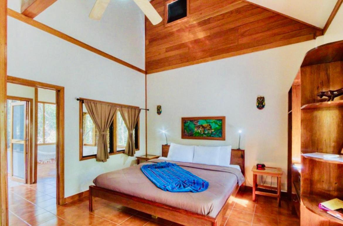 Mariposa Jungle Lodge 산 이그나시오 외부 사진