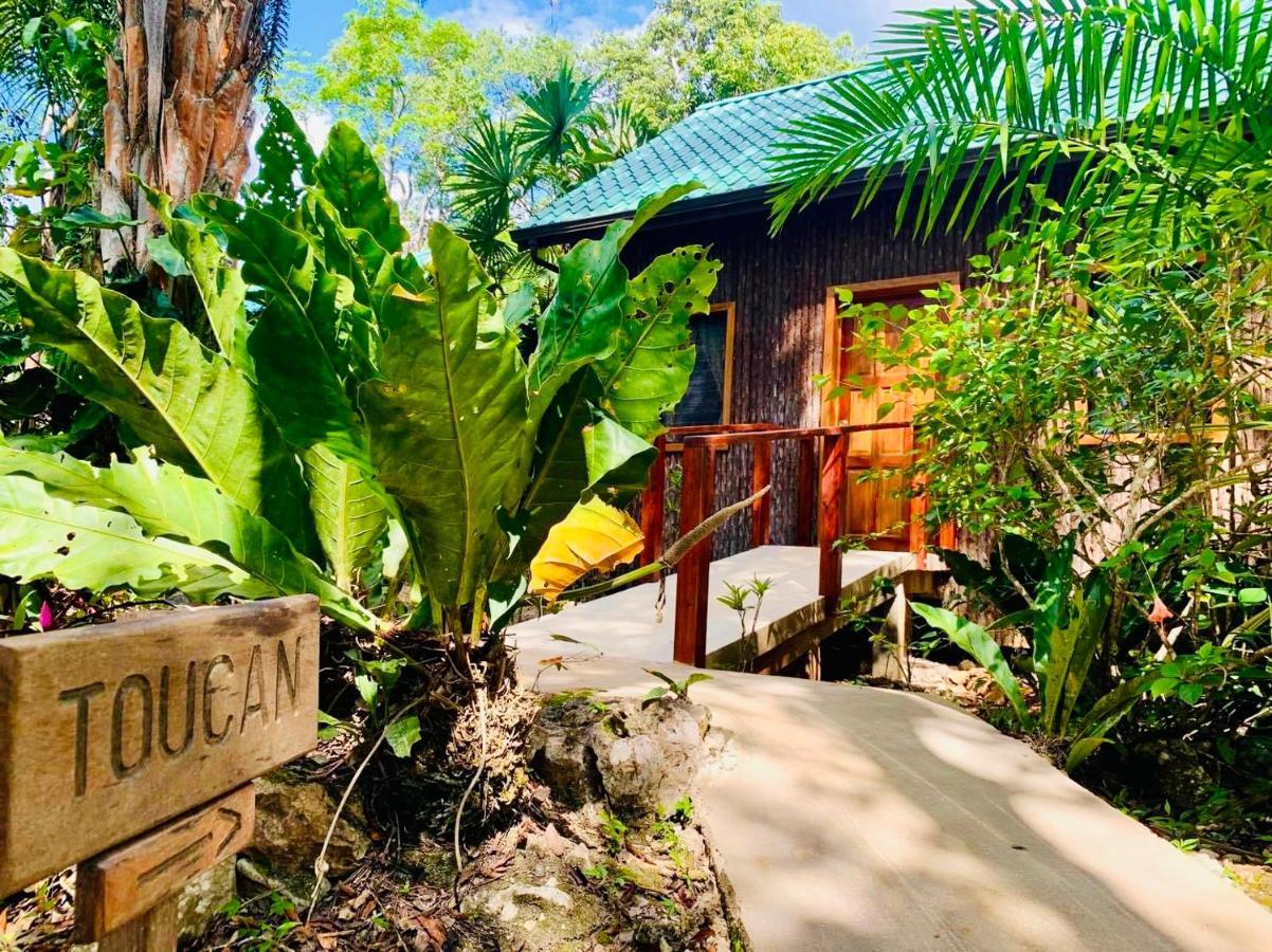 Mariposa Jungle Lodge 산 이그나시오 외부 사진