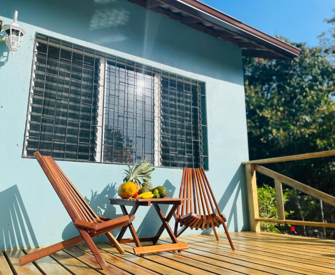 Mariposa Jungle Lodge 산 이그나시오 외부 사진
