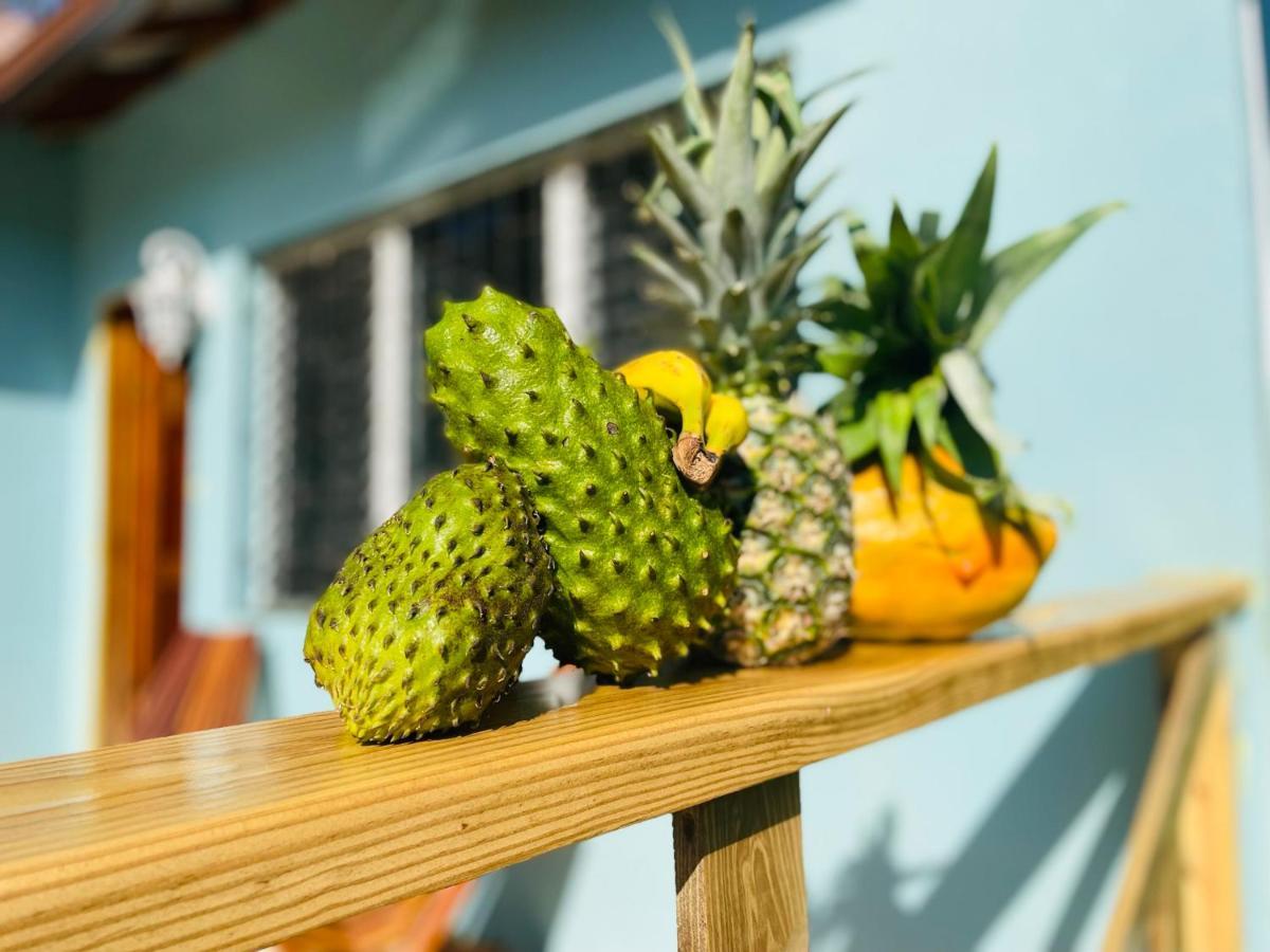 Mariposa Jungle Lodge 산 이그나시오 외부 사진