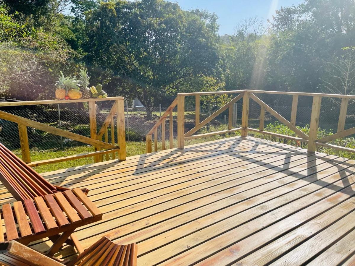 Mariposa Jungle Lodge 산 이그나시오 외부 사진