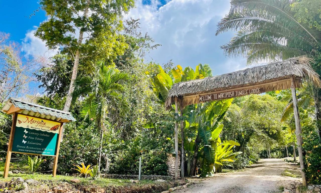 Mariposa Jungle Lodge 산 이그나시오 외부 사진