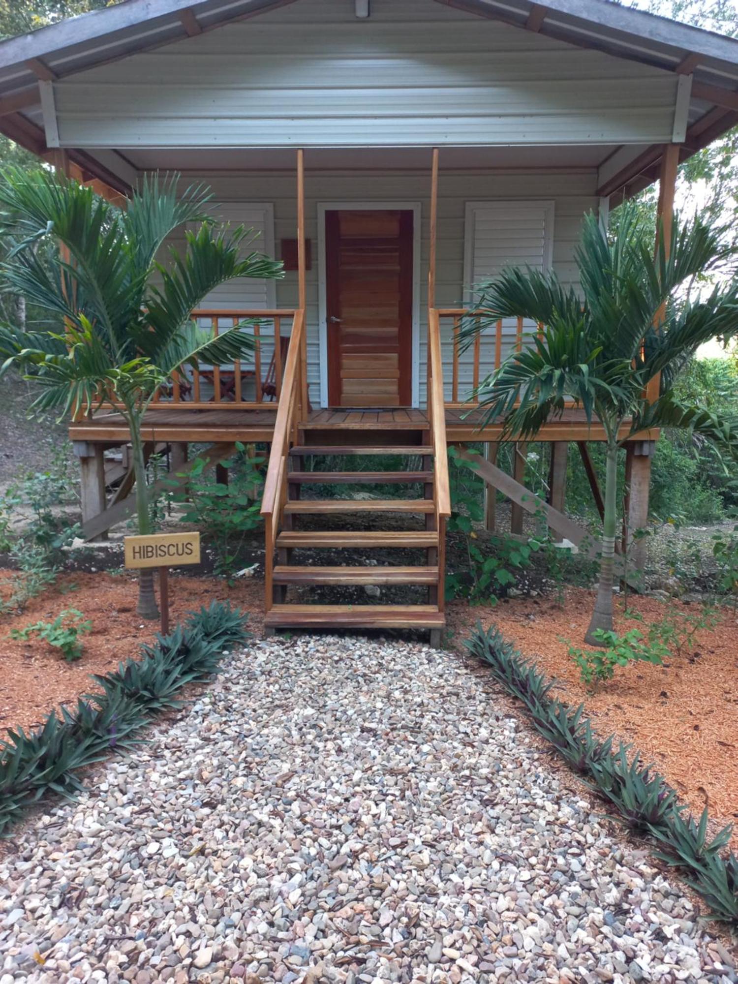Mariposa Jungle Lodge 산 이그나시오 외부 사진